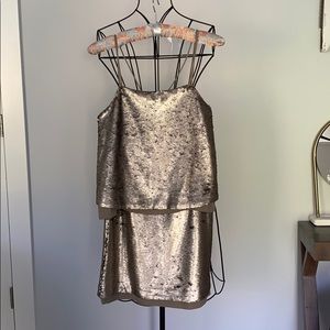 Banana Republic Champagne Sequin Dress